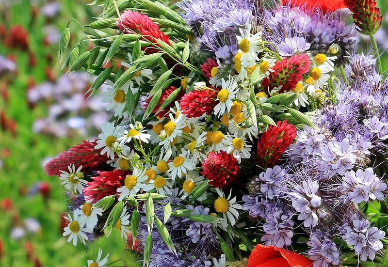 Wildflower Bouquets